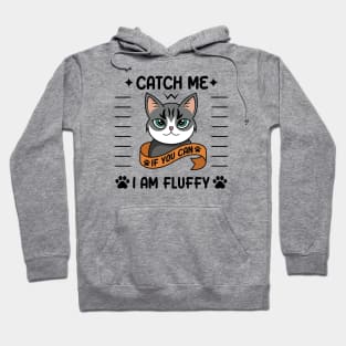 CatCh Me I Am Fluffy Hoodie